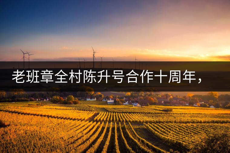 老班章全村陳升號合作十周年，贈送千兩百家茶