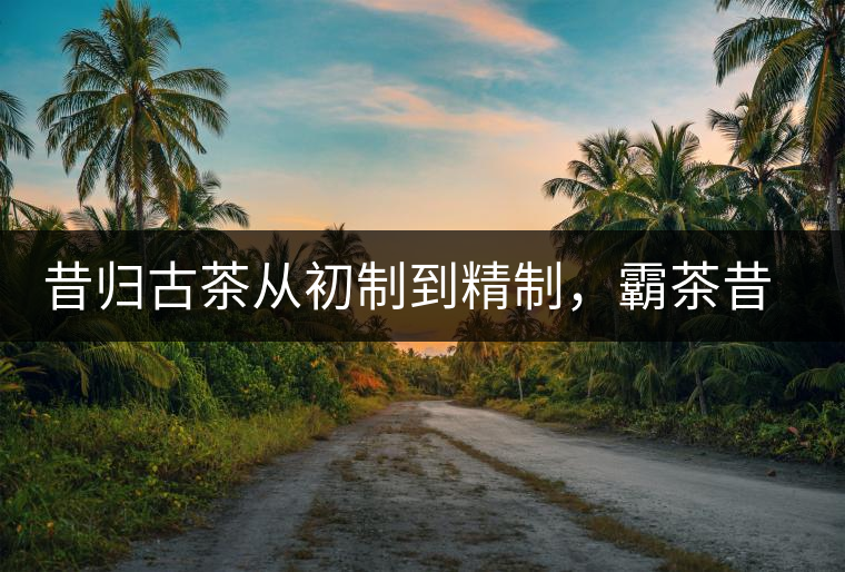 昔歸古茶從初制到精制，霸茶昔歸茶農(nóng)專業(yè)合作社成立