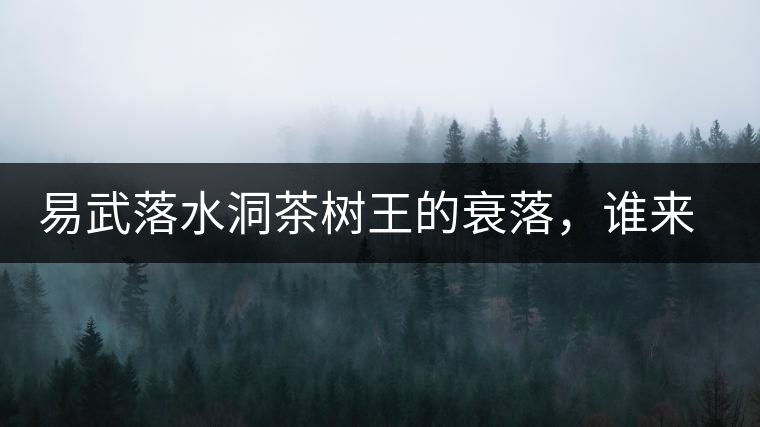 易武落水洞茶樹王的衰落，誰來關(guān)注古樹茶？