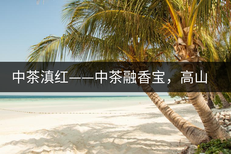 中茶滇紅——中茶融香寶，高山烏龍茶