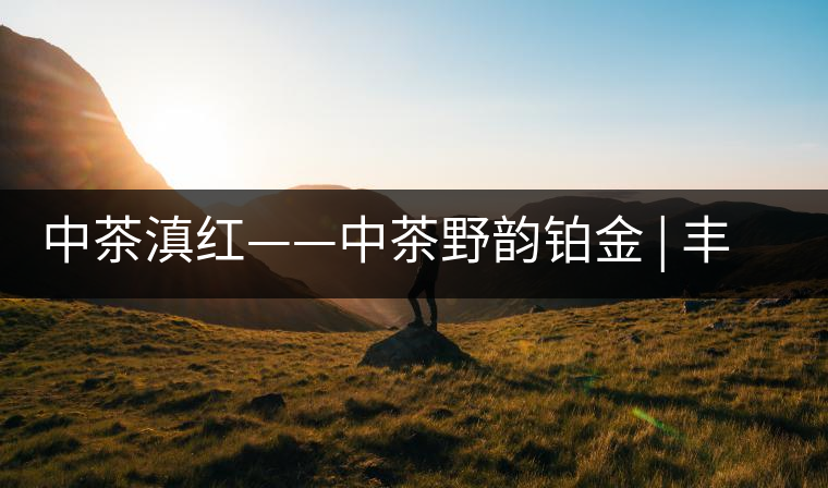 中茶滇紅——中茶野韻鉑金 | 豐苗挺秀，山野花香