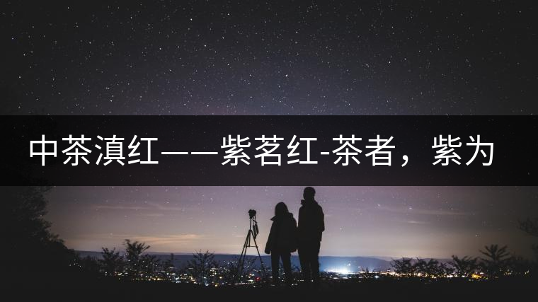 中茶滇紅——紫茗紅-茶者，紫為上