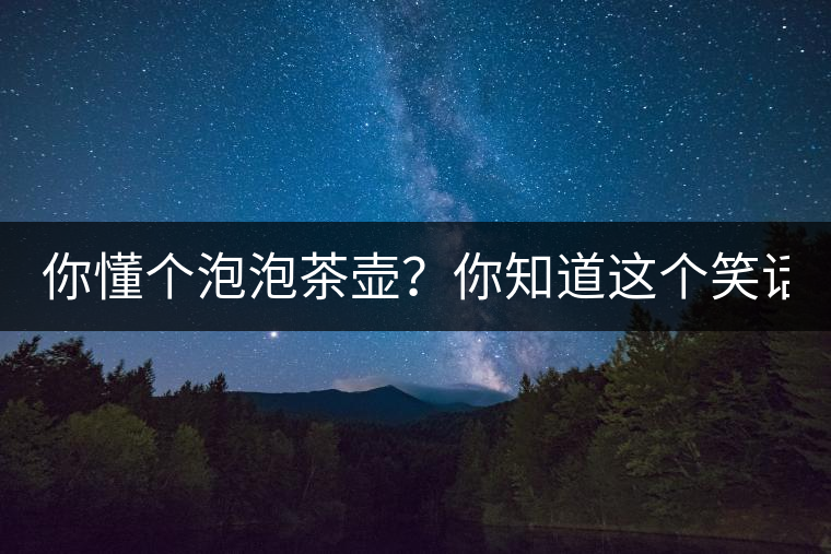 你懂個泡泡茶壺？你知道這個笑話嗎？