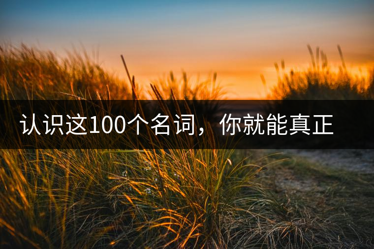 認(rèn)識(shí)這100個(gè)名詞，你就能真正了解普洱茶？