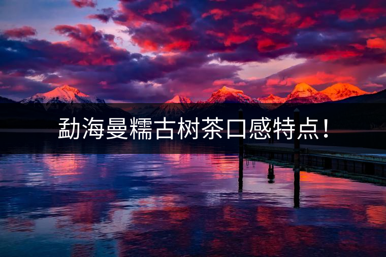 勐海曼糯古樹茶口感特點！