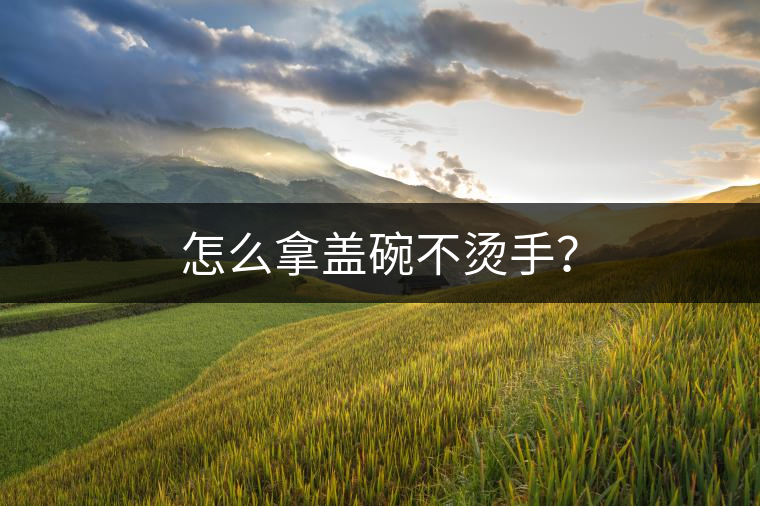 怎么拿蓋碗不燙手？