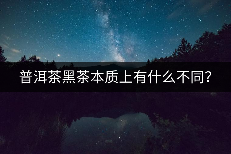 普洱茶黑茶本質(zhì)上有什么不同？