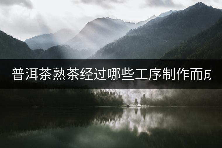 普洱茶熟茶經(jīng)過哪些工序制作而成？