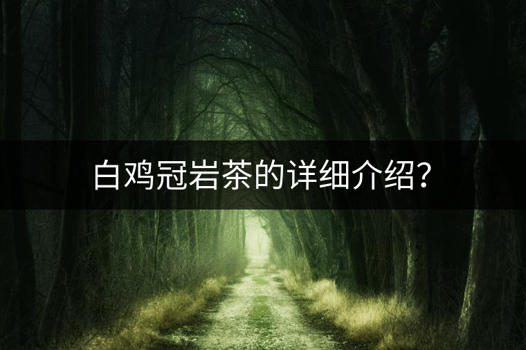 白雞冠巖茶的詳細(xì)介紹？
