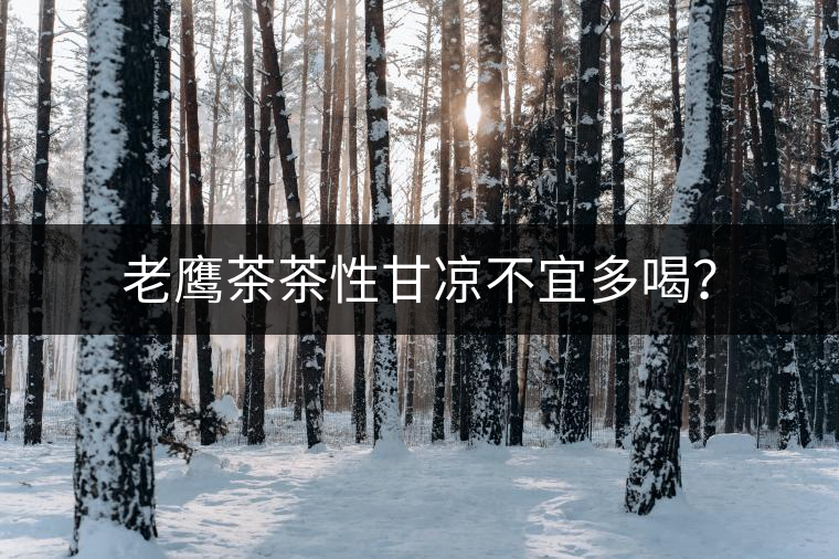 老鷹茶茶性甘涼不宜多喝? 老鷹茶茶性甘涼不宜多喝?