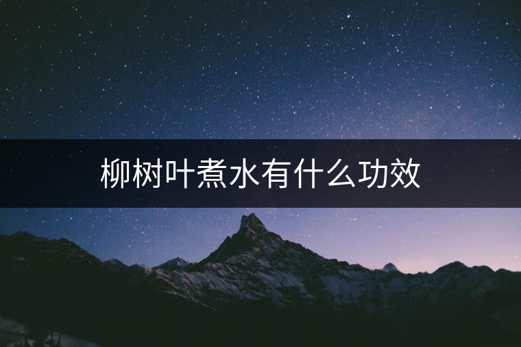 柳樹(shù)葉煮水有什么功效