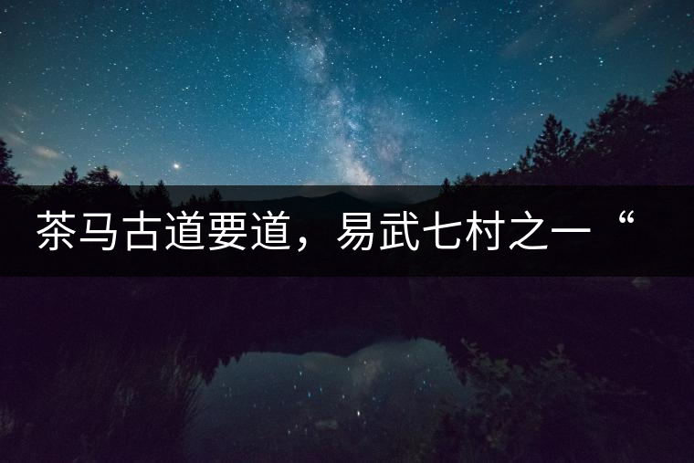 茶馬古道要道，易武七村之一“張家灣”古茶園