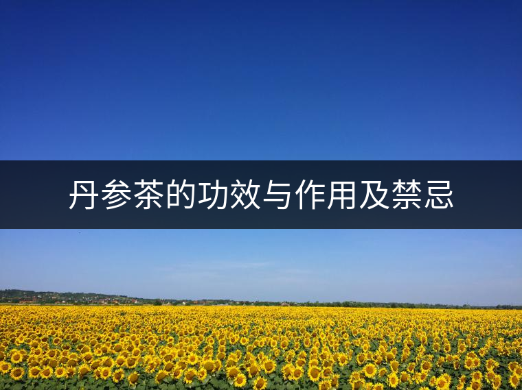 丹參茶的功效與作用及禁忌