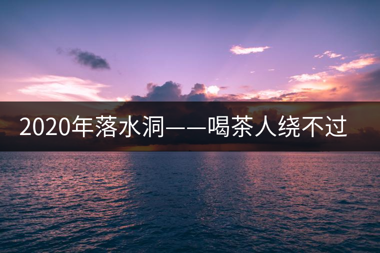 2020年落水洞——喝茶人繞不過的溫柔鄉(xiāng)！-易武中聘號(hào)