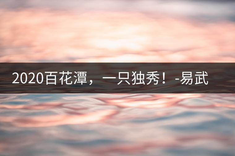 2020百花潭，一只獨秀！-易武中聘號