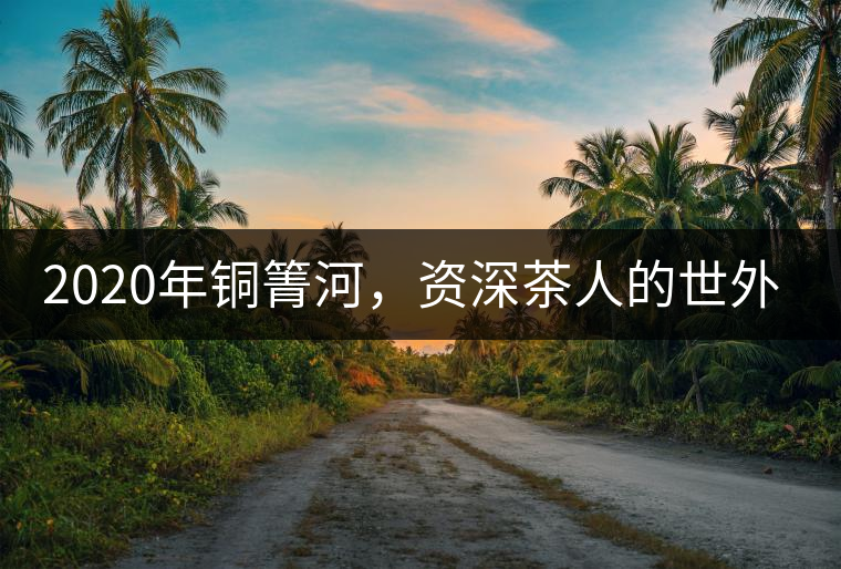 2020年銅箐河，資深茶人的世外桃源-易武-易武中聘號