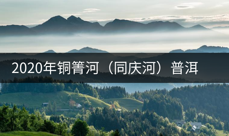 2020年銅箐河（同慶河）普洱茶，野味真難尋！-易武中聘號