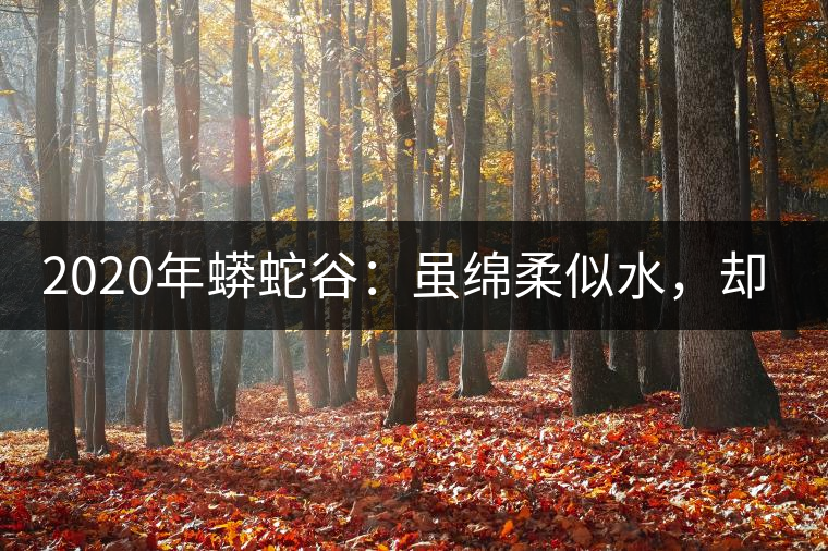 2020年蟒蛇谷：雖綿柔似水，卻氣場十足-易武中聘號(hào)