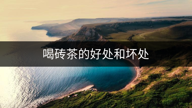 喝磚茶的好處和壞處