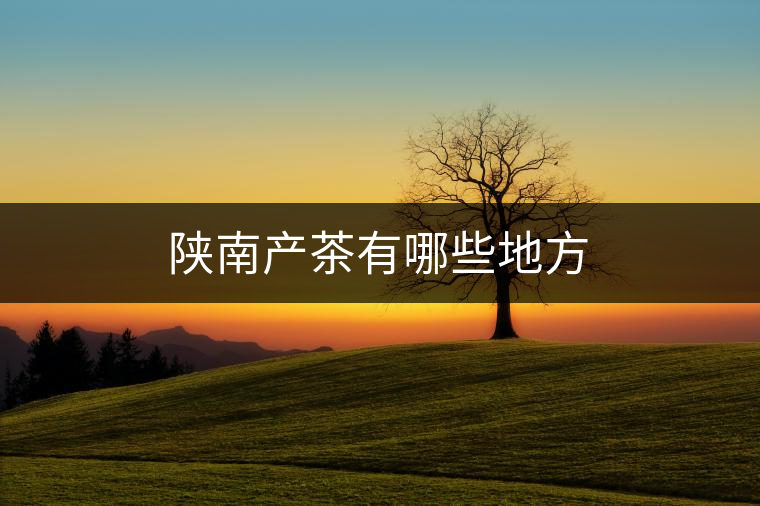 陜南產茶有哪些地方 陜南產茶有哪些地方