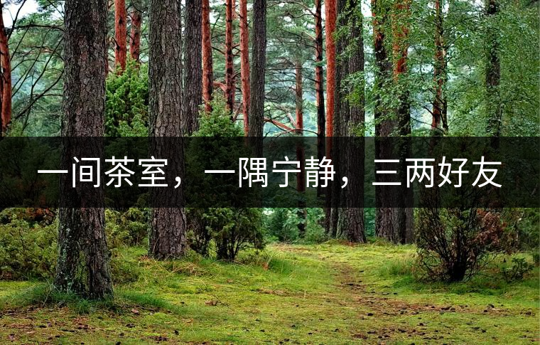 一間茶室，一隅寧靜，三兩好友