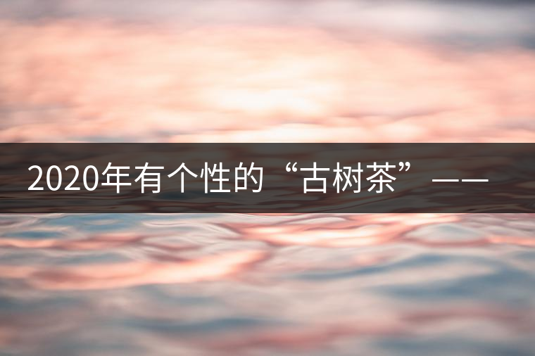 2020年有個性的“古樹茶”——一扇磨-易武中聘號 2020年有個性的“古樹茶”——一扇磨-易武中聘號