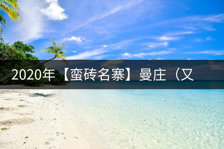 2020年【蠻磚名寨】曼莊（又作：蠻磚、曼磚）-易武中聘號