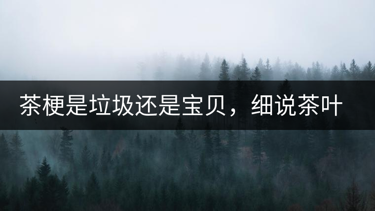 茶梗是垃圾還是寶貝，細(xì)說茶葉的那些梗