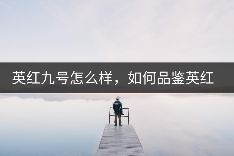 英紅九號怎么樣，如何品鑒英紅九號紅茶