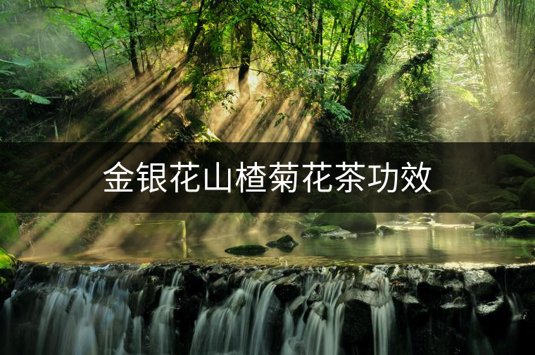 金銀花山楂菊花茶功效 金銀花山楂菊花茶功效