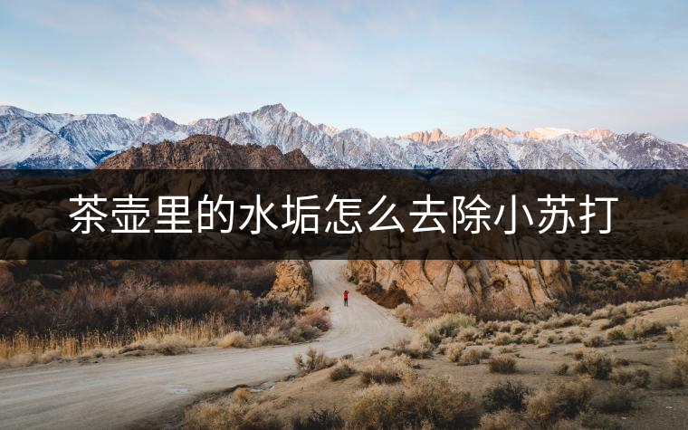 茶壺里的水垢怎么去除小蘇打 茶壺里的水垢怎么去除小蘇打