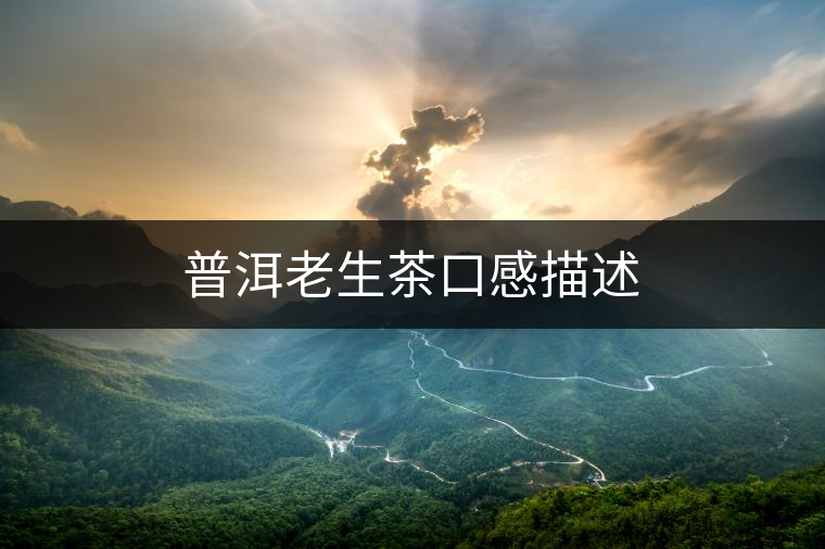 普洱老生茶口感描述 普洱老生茶口感描述