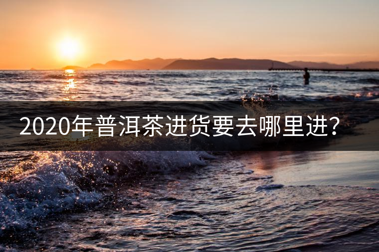 2020年普洱茶進(jìn)貨要去哪里進(jìn)？-易武中聘號