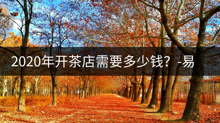 2020年開茶店需要多少錢？-易武中聘號(hào)