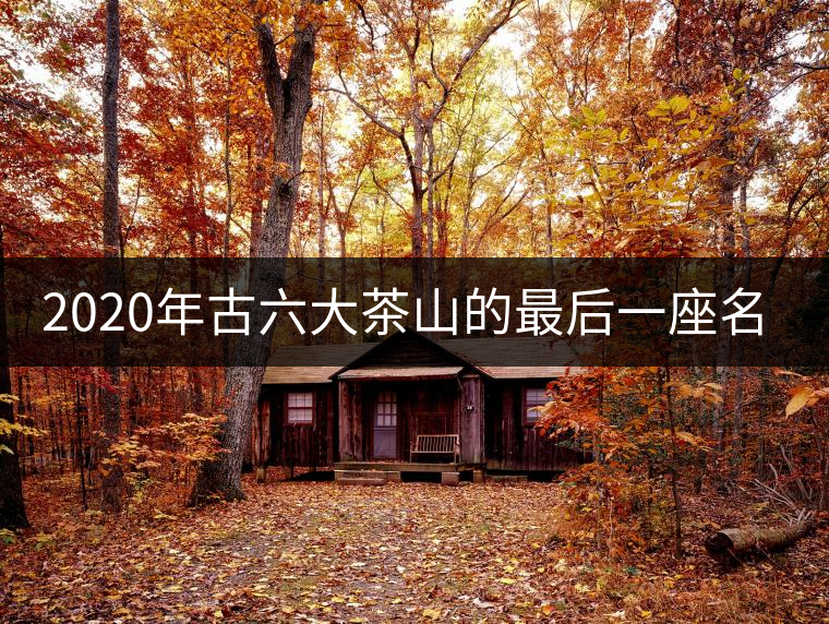 2020年古六大茶山的最后一座名山——攸樂山。-易武中聘號