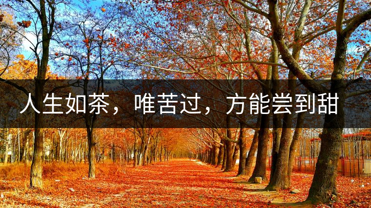 人生如茶，唯苦過，方能嘗到甜滋味