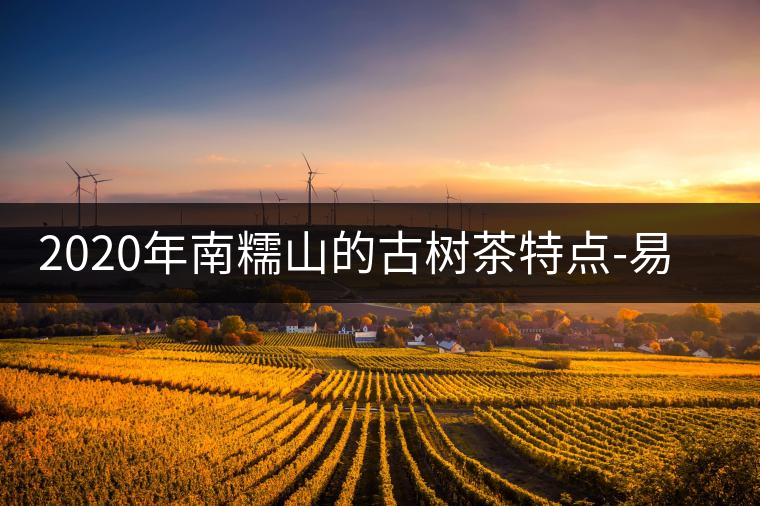 2020年南糯山的古樹茶特點(diǎn)-易武中聘號