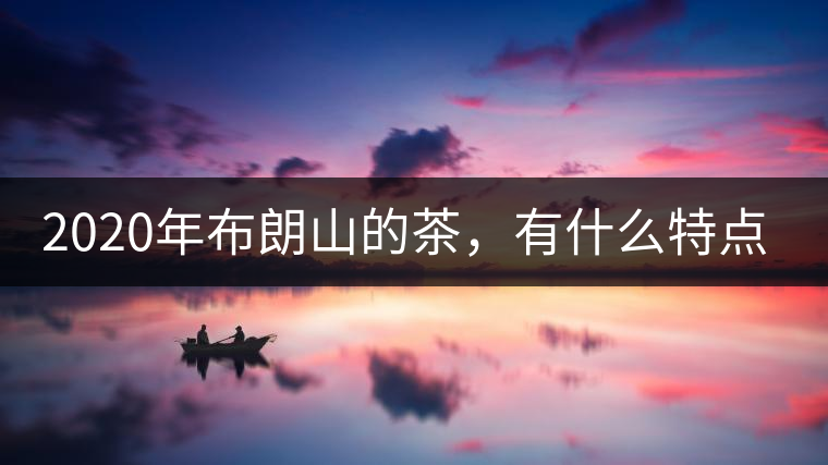 2020年布朗山的茶，有什么特點(diǎn)？-易武中聘號(hào)