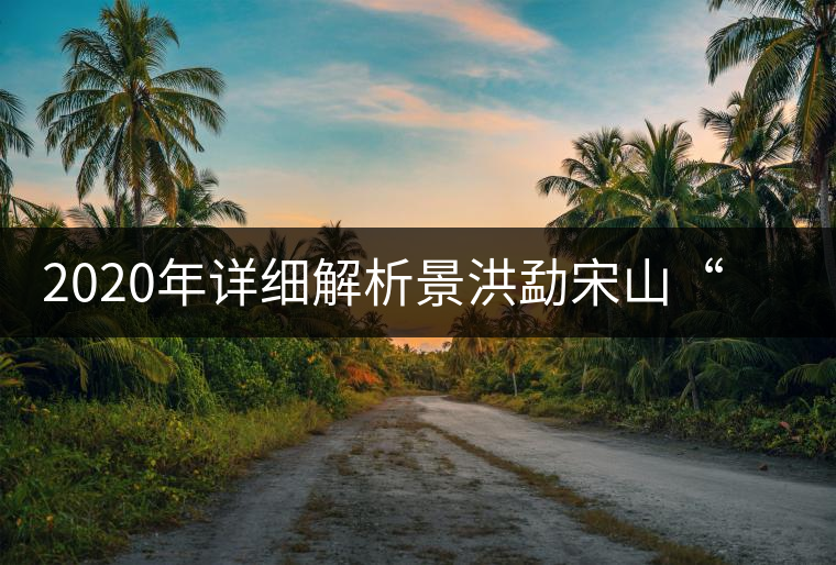 2020年詳細(xì)解析景洪勐宋山“大勐宋”與“小勐宋”古樹茶-易武中聘號(hào)