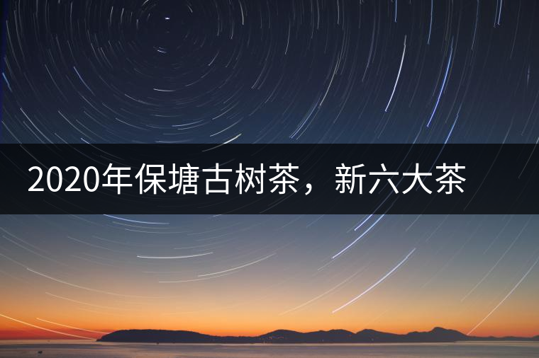 2020年保塘古樹茶，新六大茶山之勐宋茶佼佼者-易武中聘號(hào)