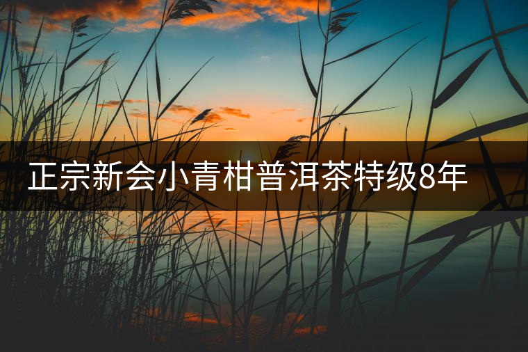 正宗新會小青柑普洱茶特級8年宮廷熟茶普橘普高檔禮盒裝內(nèi)含茶具