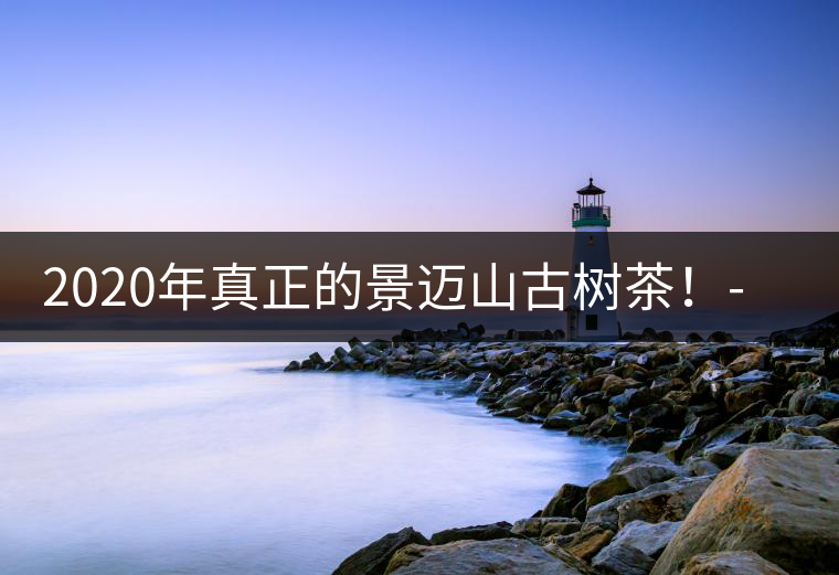 2020年真正的景邁山古樹茶！-易武中聘號