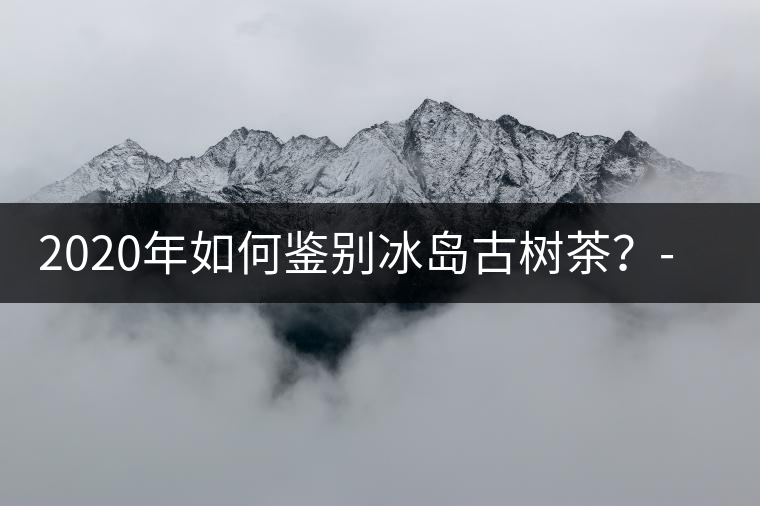 2020年如何鑒別冰島古樹茶？-易武中聘號