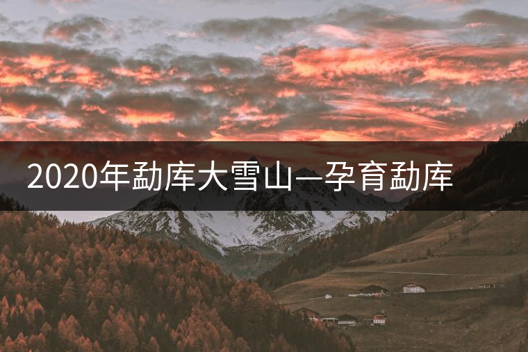2020年勐庫(kù)大雪山—孕育勐庫(kù)大葉種英豪的搖籃-易武中聘號(hào)