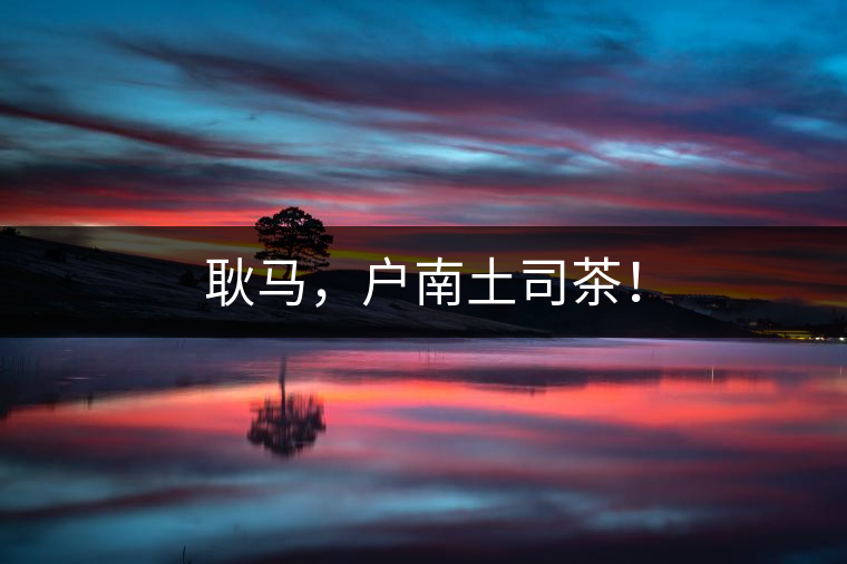 耿馬，戶南土司茶！