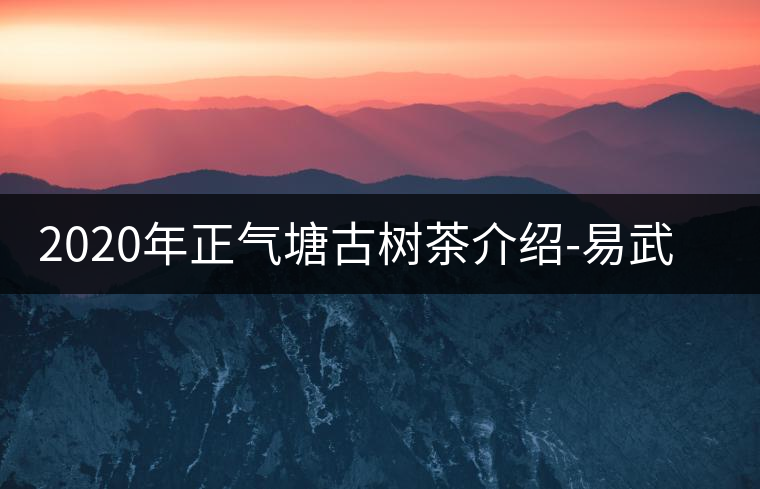 2020年正氣塘古樹(shù)茶介紹-易武中聘號(hào) 2020年正氣塘古樹(shù)茶介紹-易武中聘號(hào)