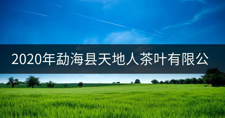 2020年勐?？h天地人茶葉有限公司簡(jiǎn)介