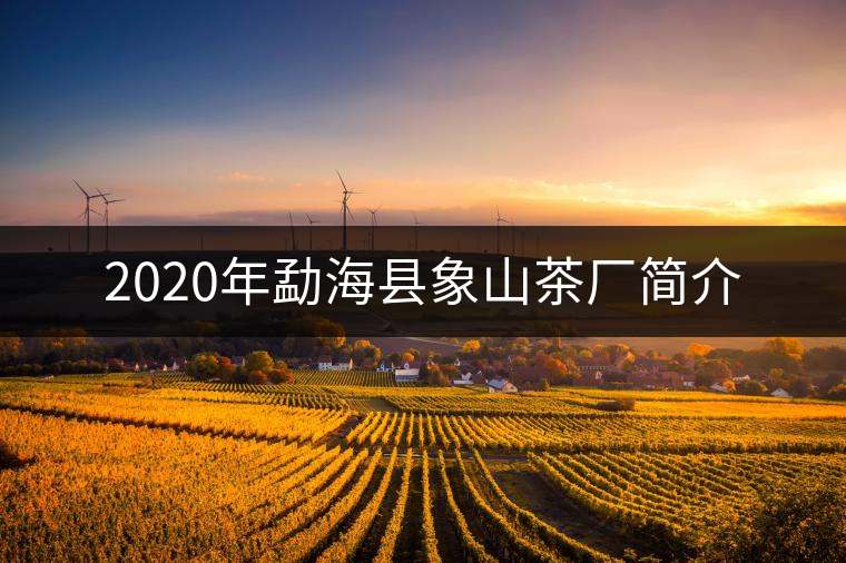 2020年勐?？h象山茶廠簡(jiǎn)介