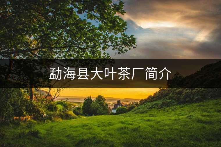勐?？h大葉茶廠簡(jiǎn)介