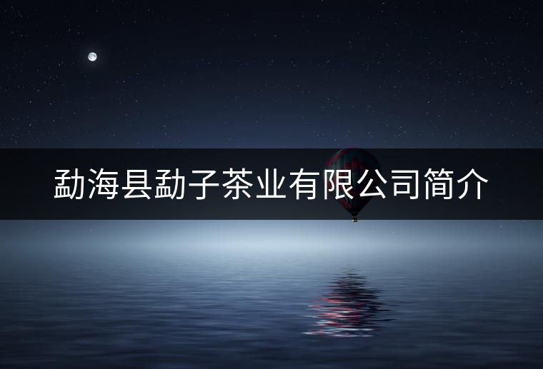 勐?？h勐子茶業(yè)有限公司簡介